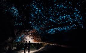 Mohammad Belle Daniel Deleon